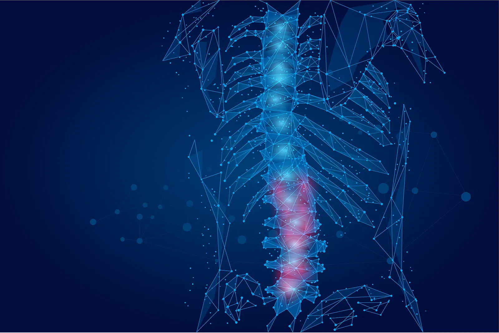 AdobeStock_345549860 Digital spine illustration with blue and red highlights